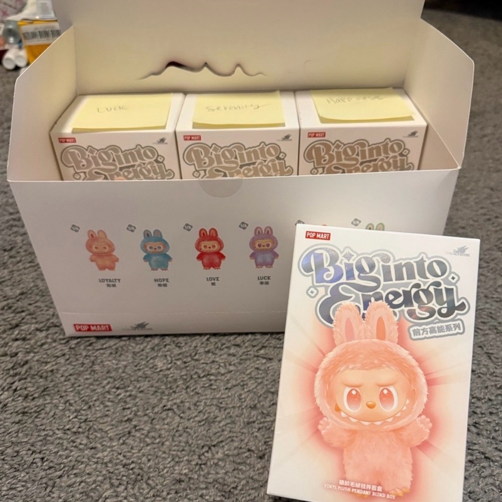 Sealed Hope Labubu